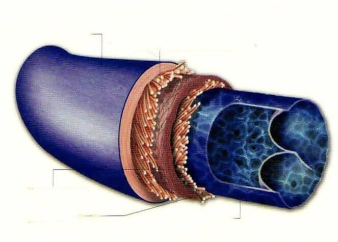 Cauzele varicelor